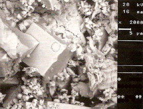 Хлориды под электронным микроскопом